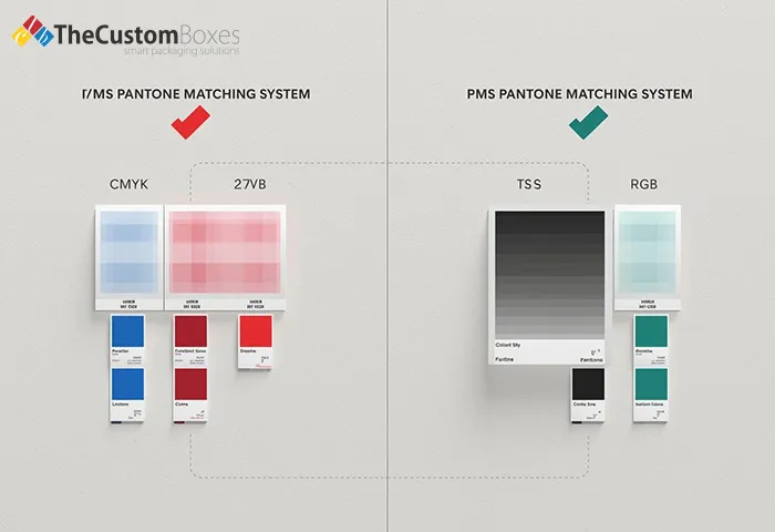 PMS vs Other Color Systems: What’s the Difference?